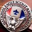 NESA Lapel Pin