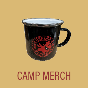 Camp Merch